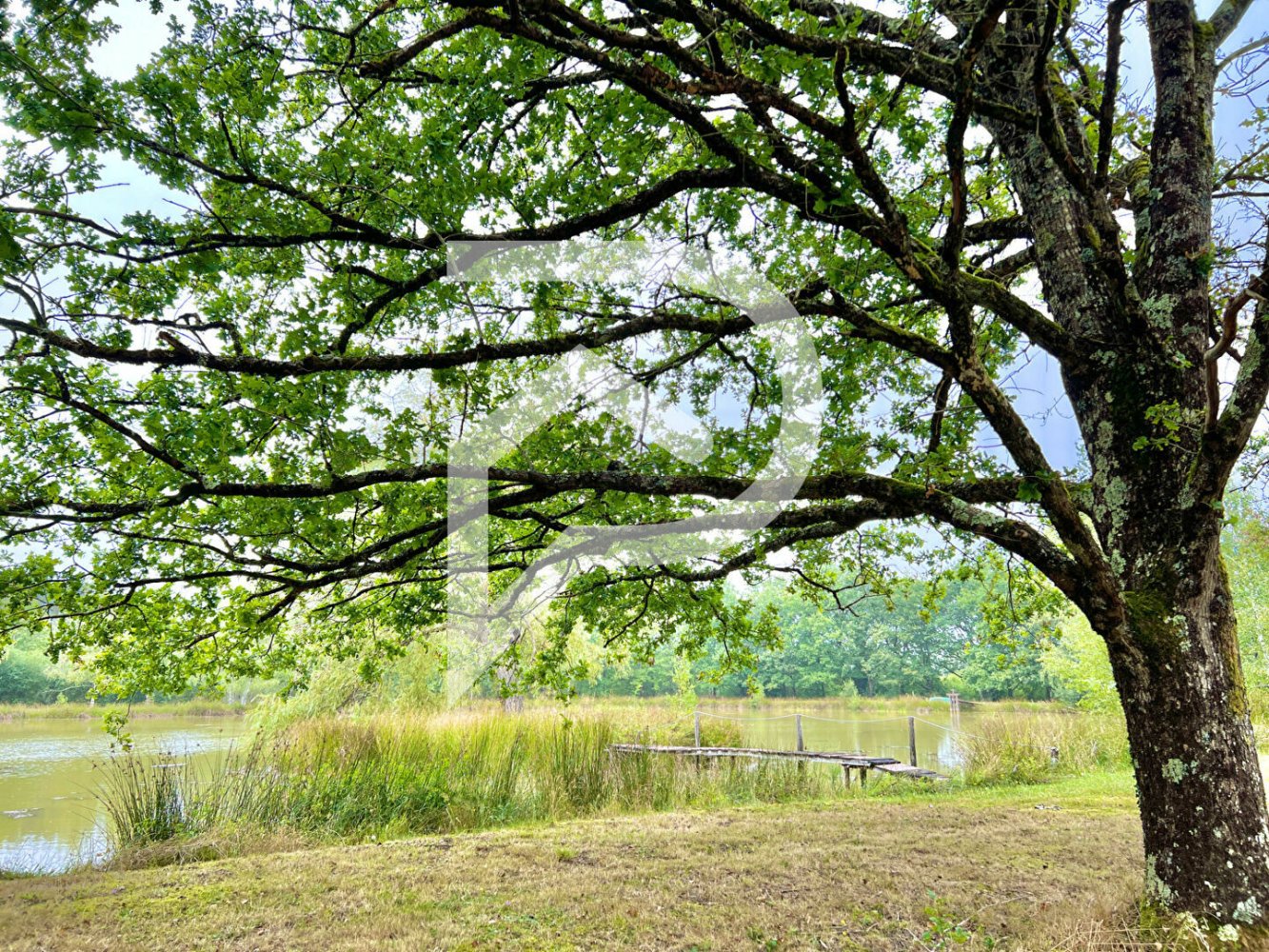 4 Schlafzimmer Villa in Olivet, France, Nr. 252890