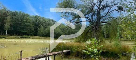 4 Schlafzimmer Villa in Olivet, France, Nr. 252890 6