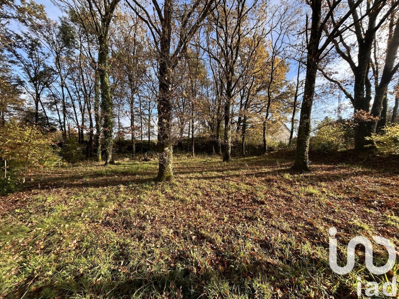 1480m² Land in Romorantin-Lanthenay, France No. 159733