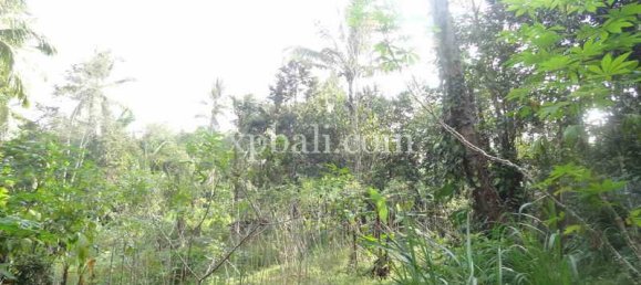 Terrain à Ubud, Indonesia 20252m² No. 3846 4