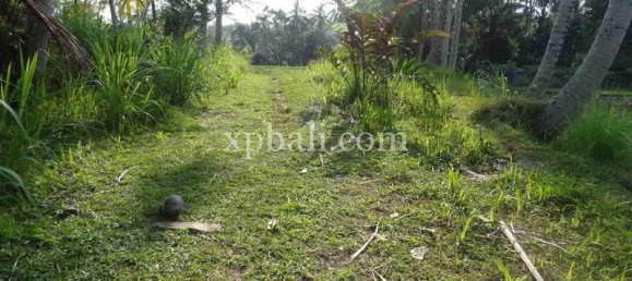 Terrain à Ubud, Indonesia 20252m² No. 3846 15