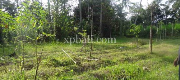 Terrain à Ubud, Indonesia 20252m² No. 3846 6