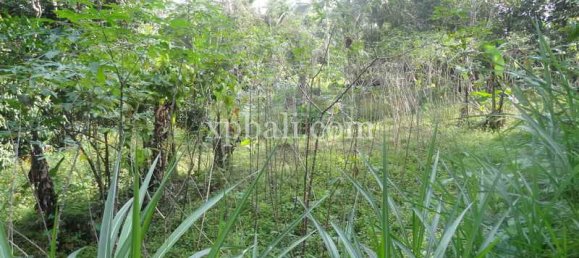 Terrain à Ubud, Indonesia 20252m² No. 3846 5
