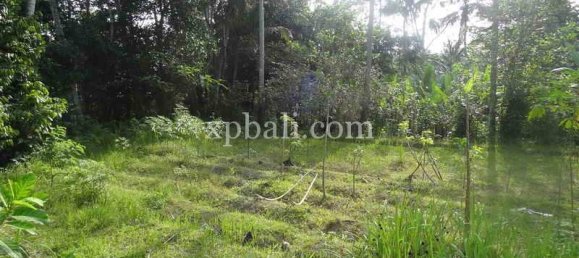 Terrain à Ubud, Indonesia 20252m² No. 3846 7