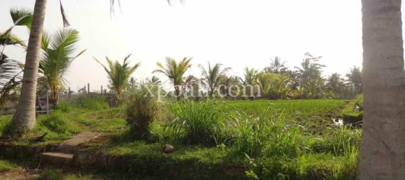 Terrain à Ubud, Indonesia 20252m² No. 3846 14