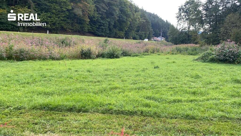  Land in Kirchschlag in der Buckligen Welt, Austria No. 43887