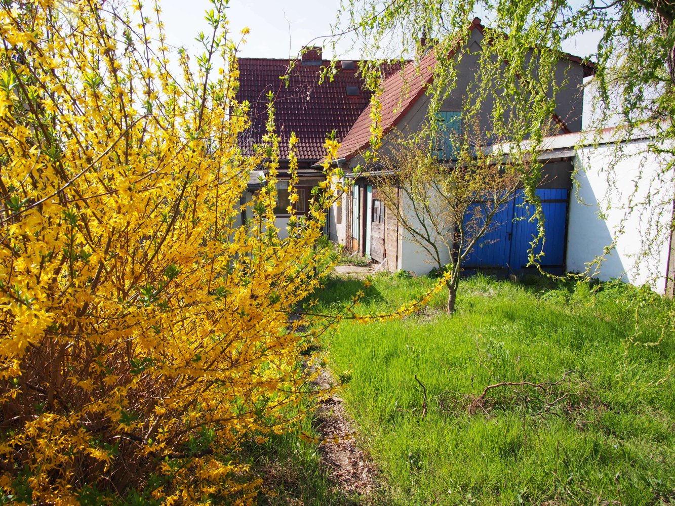 4غرفة تاون هاوس في Frankfurt an der Oder, Germany رقم 220286