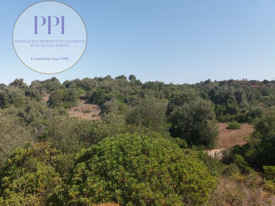 5080m² Land in Barao de Sao Miguel, Portugal No. 237859