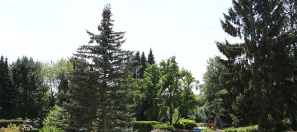 Квартира с 2 спальнями в Эссен, Германия № 43868 12