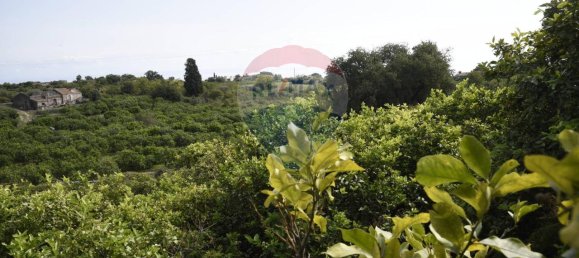 1 room Land in Santa Venerina, Italy No. 163589 34
