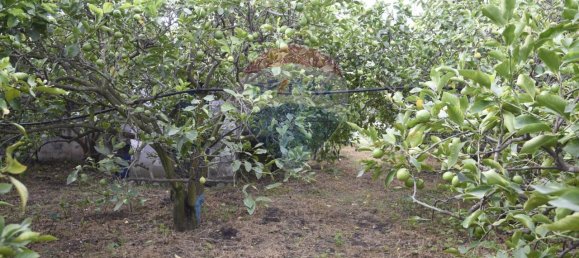 1 room Land in Santa Venerina, Italy No. 163589 7