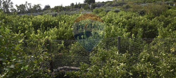 1 room Land in Santa Venerina, Italy No. 163589 27