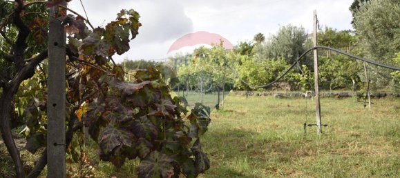 1 room Land in Santa Venerina, Italy No. 163589 10