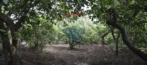 1 room Land in Santa Venerina, Italy No. 163589 14