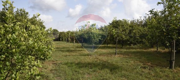 1 room Land in Santa Venerina, Italy No. 163589 17