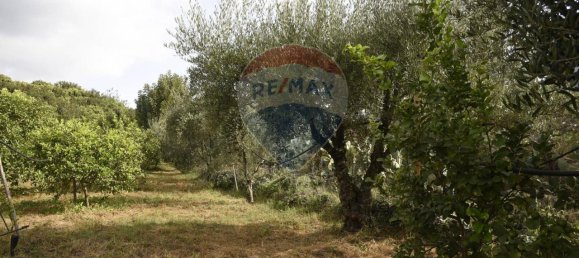 1 room Land in Santa Venerina, Italy No. 163589 23