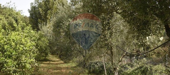 1 room Land in Santa Venerina, Italy No. 163589 24