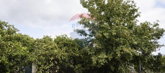 1 room Land in Santa Venerina, Italy No. 163589 28