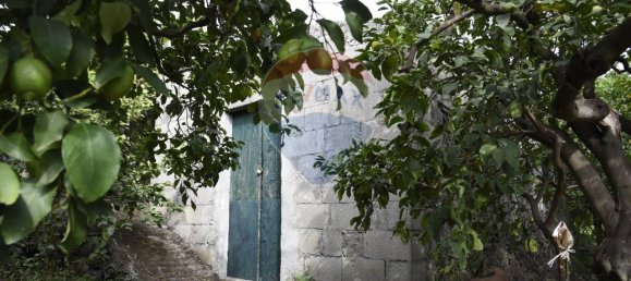 1 room Land in Santa Venerina, Italy No. 163589 29