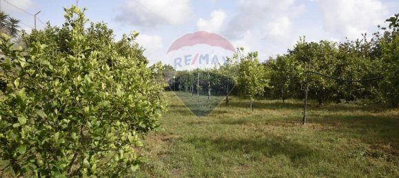 1 room Land in Santa Venerina, Italy No. 163589 20