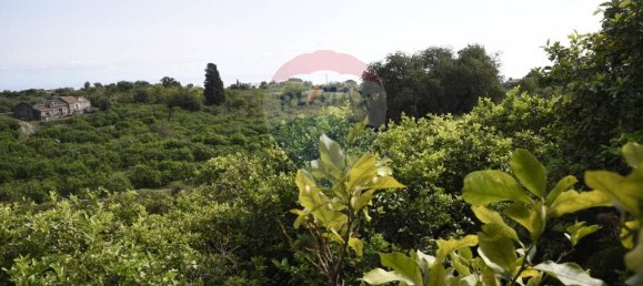 1 room Land in Santa Venerina, Italy No. 163589 15