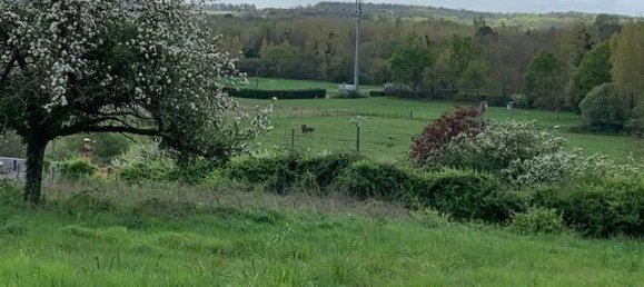 1600m² Land in Civray-de-Touraine, France No. 62987 4