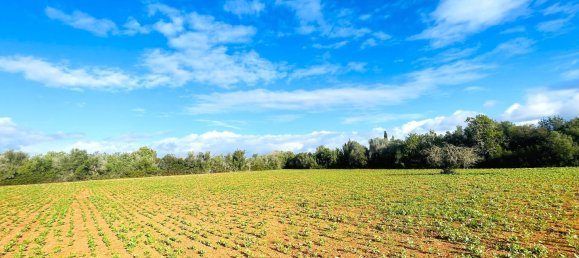  Land in Felanitx, Spain No. 159189 3