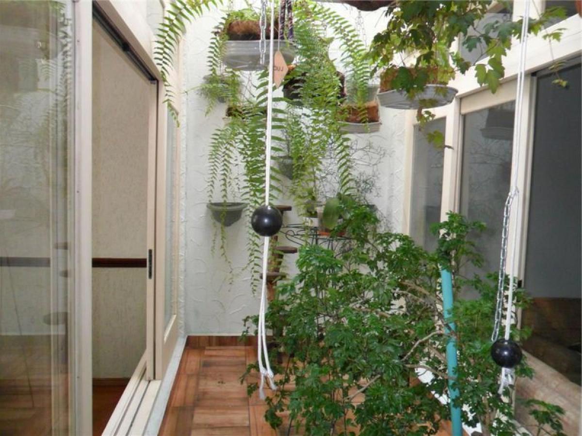 4 bedrooms House in Sao Paulo, Brazil No. 560236