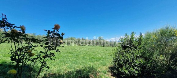 4 Schlafzimmer Haus in Civitella d'Agliano, Italy, Nr. 151100 29
