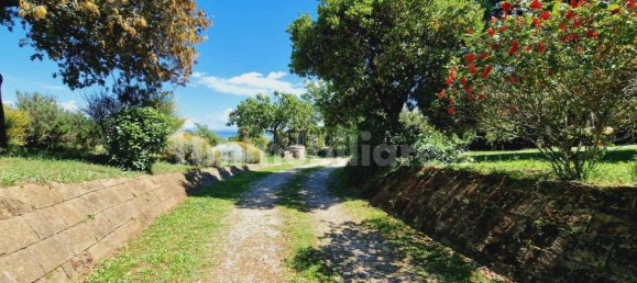 4 Schlafzimmer Haus in Civitella d'Agliano, Italy, Nr. 151100 32
