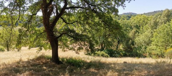 15-Zimmer Haus in Casole d'Elsa, Italy, Nr. 198644 15