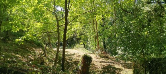 15-Zimmer Haus in Casole d'Elsa, Italy, Nr. 198644 40