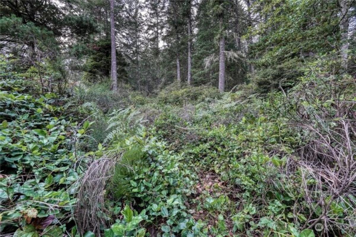  Land in Port Orchard, USA No. 500455