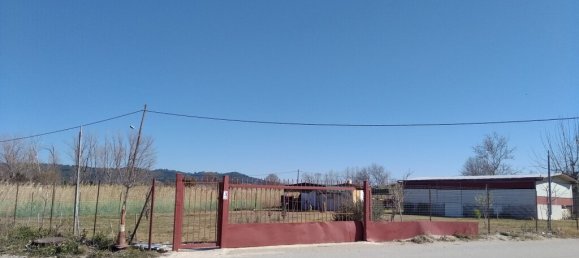 1154m² Hotel in Chalkidiki, Greece No. 3253 8