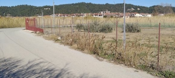 Hotel in Chalkidiki, Greece 1154m², Nr. 3253 2