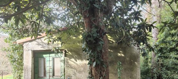 7-Zimmer Haus in Villafranca in Lunigiana, Italy, Nr. 205708 15