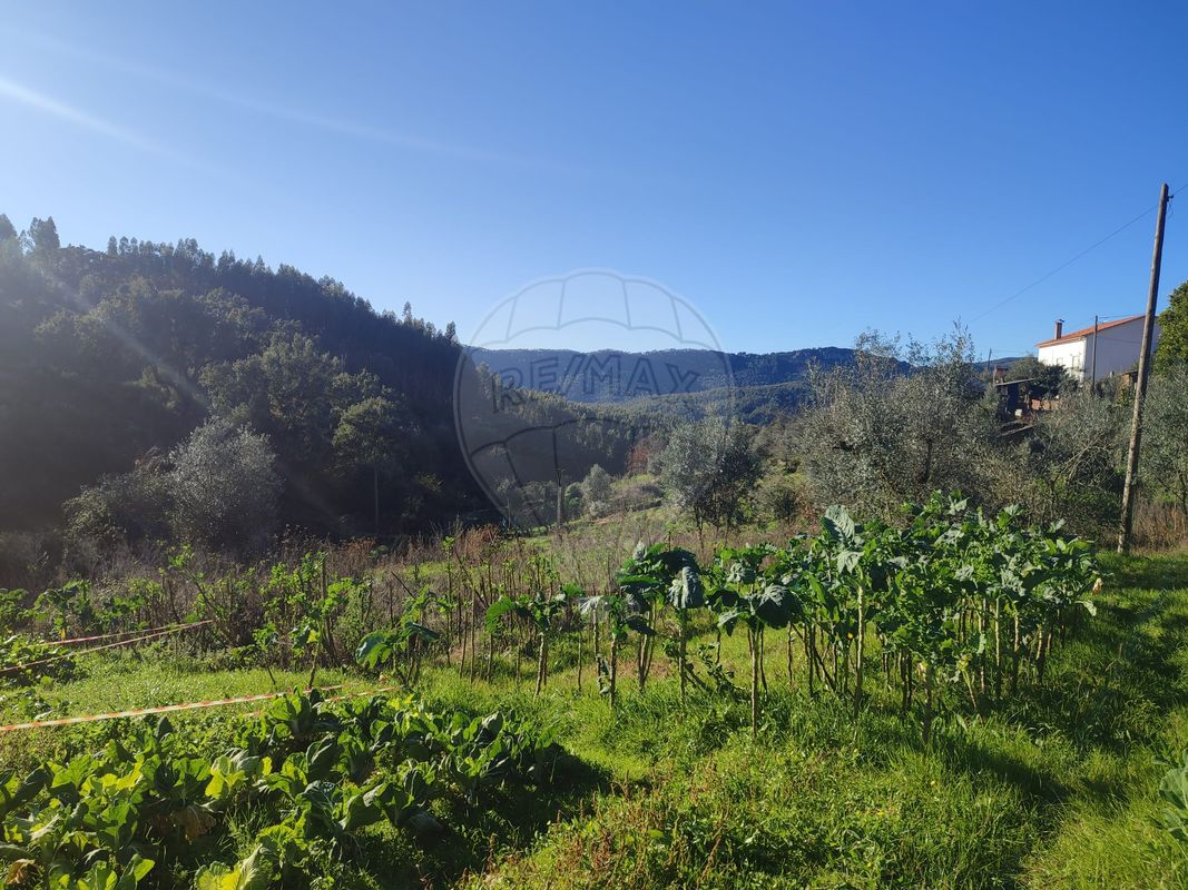 2 bedrooms House in Aguda, Portugal No. 19949