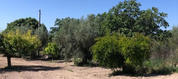 3 Schlafzimmer Haus in Velez-Blanco, Spain, Nr. 158853 21