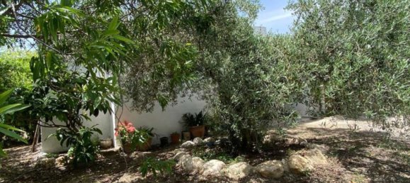 3 Schlafzimmer Haus in Velez-Blanco, Spain, Nr. 158853 2