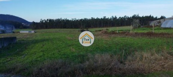 Grundstück in Barcelos, Portugal 3600m², Nr. 150789 25