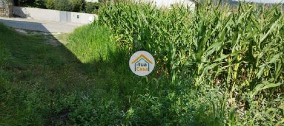 Grundstück in Barcelos, Portugal 3600m², Nr. 150789 5