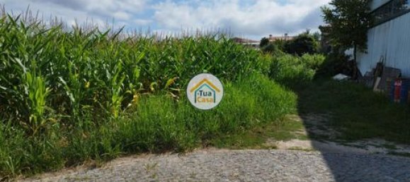 Grundstück in Barcelos, Portugal 3600m², Nr. 150789 18