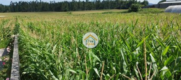 Grundstück in Barcelos, Portugal 3600m², Nr. 150789 10