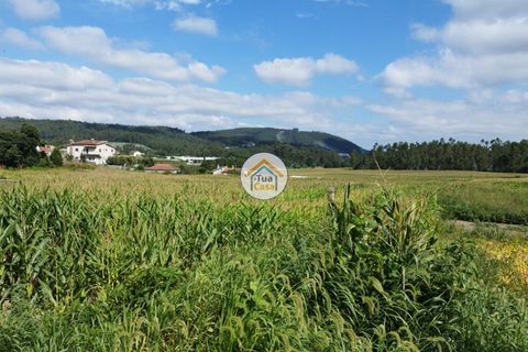 Terrain à Barcelos, Portugal 3600m² No. 150789