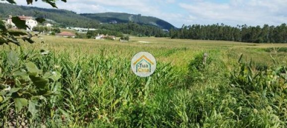 Grundstück in Barcelos, Portugal 3600m², Nr. 150789 15