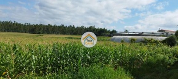 Grundstück in Barcelos, Portugal 3600m², Nr. 150789 11