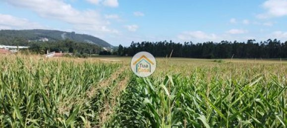 Grundstück in Barcelos, Portugal 3600m², Nr. 150789 9