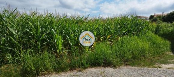 Grundstück in Barcelos, Portugal 3600m², Nr. 150789 17