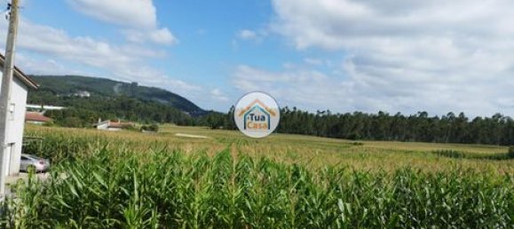 Grundstück in Barcelos, Portugal 3600m², Nr. 150789 12