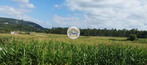 Grundstück in Barcelos, Portugal 3600m², Nr. 150789 14